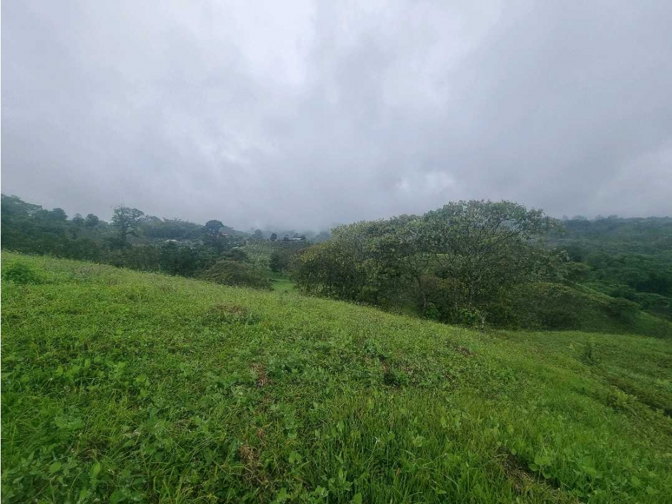 Finca con rio, nacimiento, cascada y vista panoramica 9 km de Filandia - 2