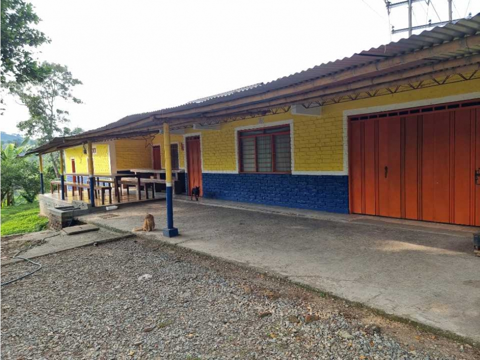 Finca cultivada en Cafe y platano excelente ubicación Sevilla - 5