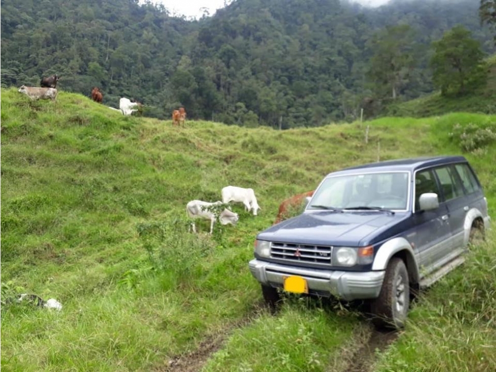 Finca Agrícola y Ganadería - Vereda El Roble - La Vega CUN — foto 6