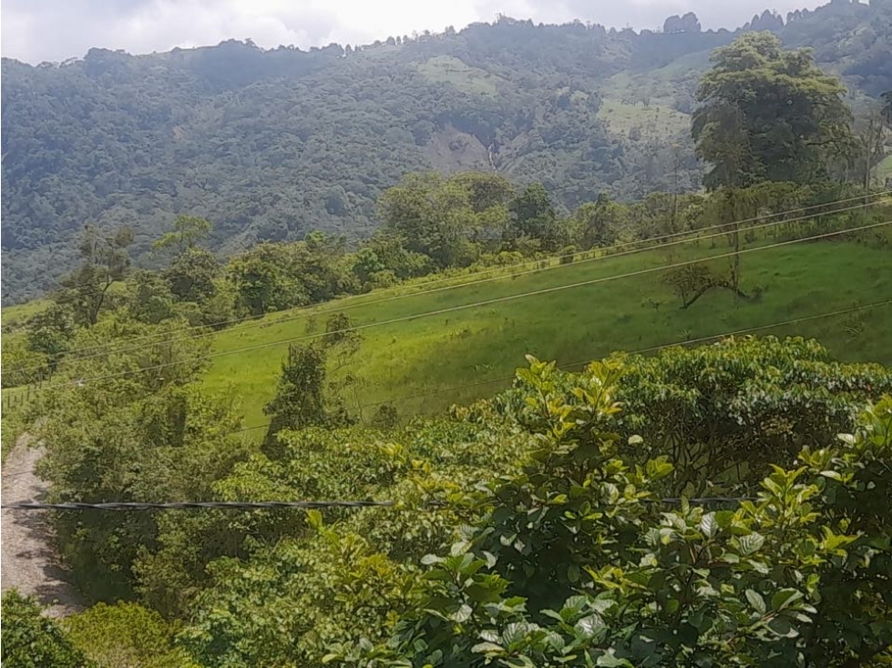 Finca de 10 fanegadas en la Vega Cundinamarca