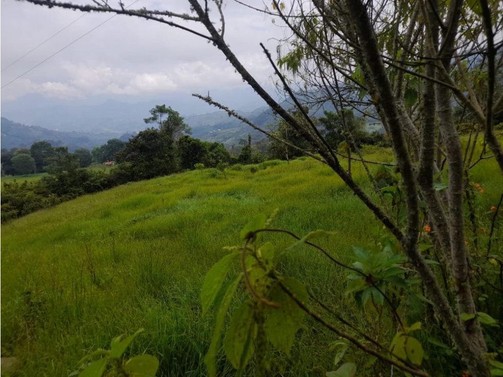 Finca de 10 fanegadas en la Vega Cundinamarca — foto 3