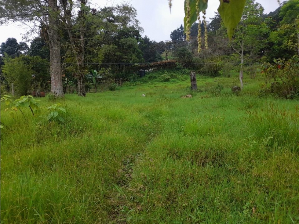 Finca de 10 fanegadas en la Vega Cundinamarca — foto 4