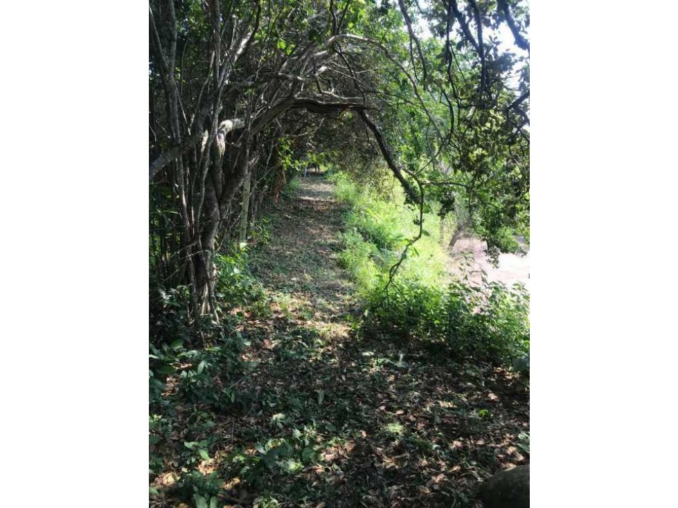 Finca De 25 Fanegadas En La Mesa Cundinamarca - 3