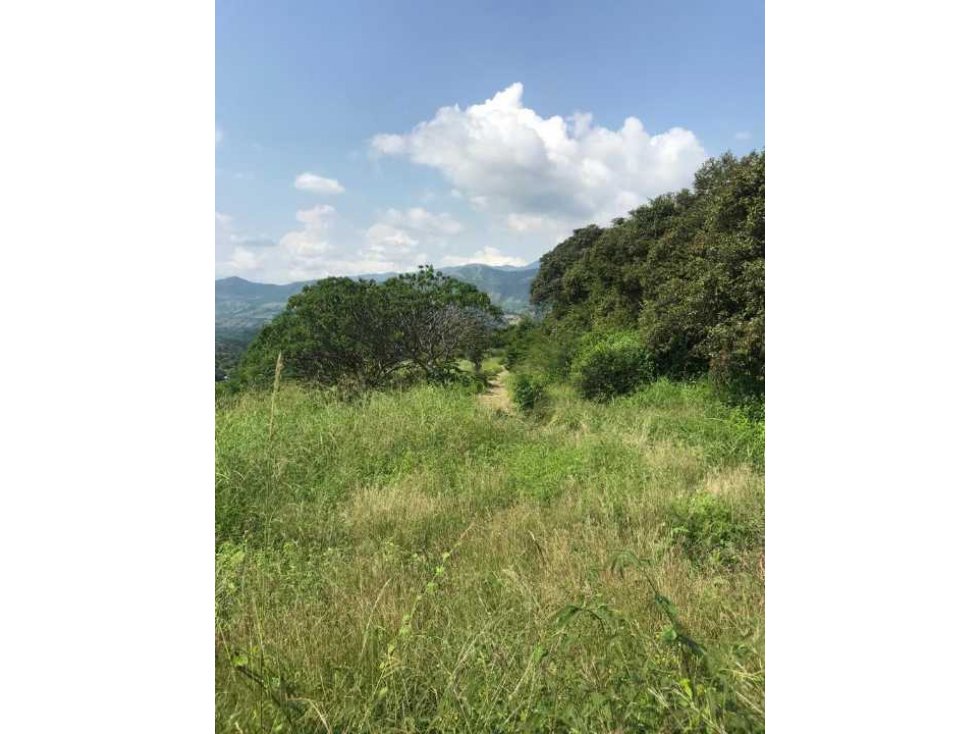 Finca De 25 Fanegadas En La Mesa Cundinamarca - 5