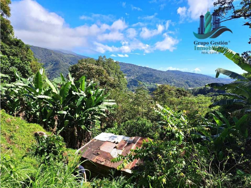 Finca de 2 hectáreas a 1300 metros altura - 4