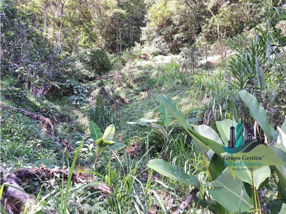Finca de 2 hectáreas a 1300 metros altura - 5