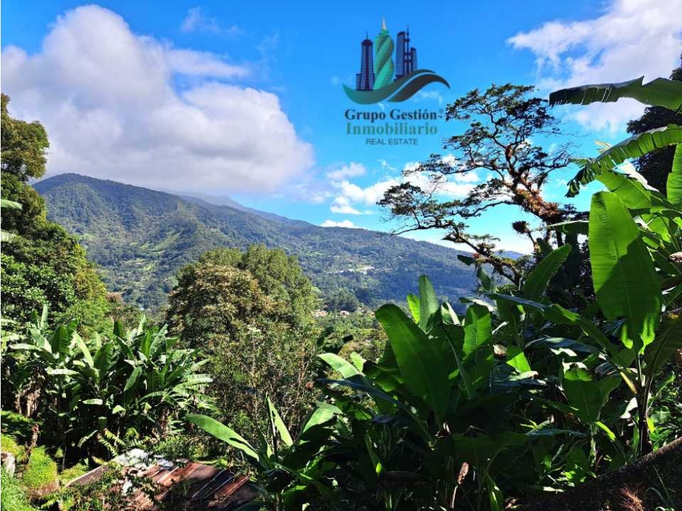 Finca de 2 hectáreas a 1300 metros altura - 6