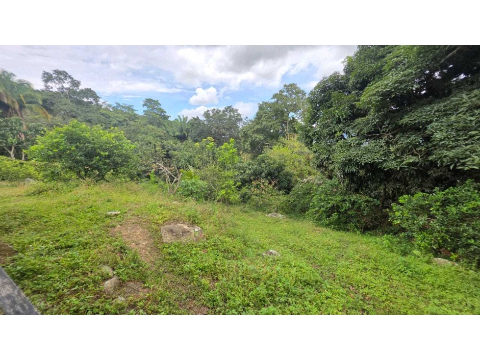 Finca de 3025 M2 en 595 mill negociables en La Mesa Cund — foto 3