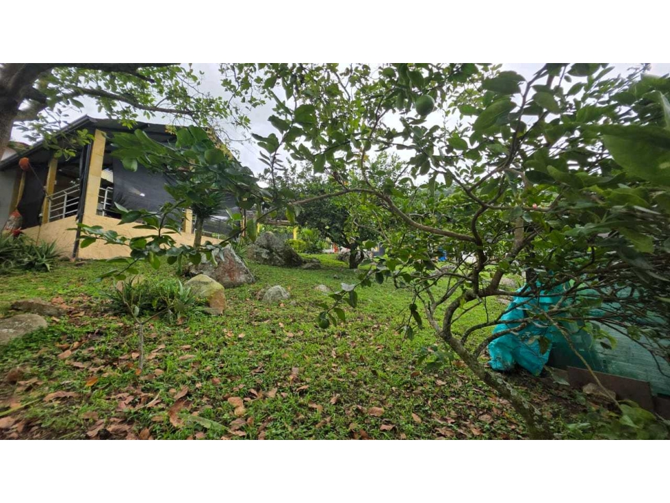 Finca de 3025 M2 en 595 mill negociables en La Mesa Cund — foto 4