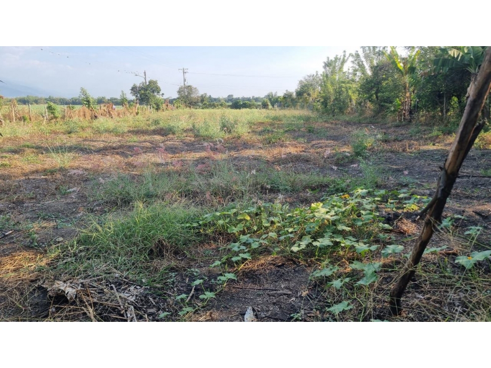 Finca de 3.926m2 en venta Santa Elena El Cerrito Valle Colombia - 2
