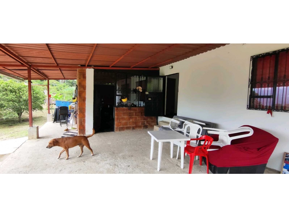 Finca de 4500 M2 en 320 mill en Tena Cund - 6
