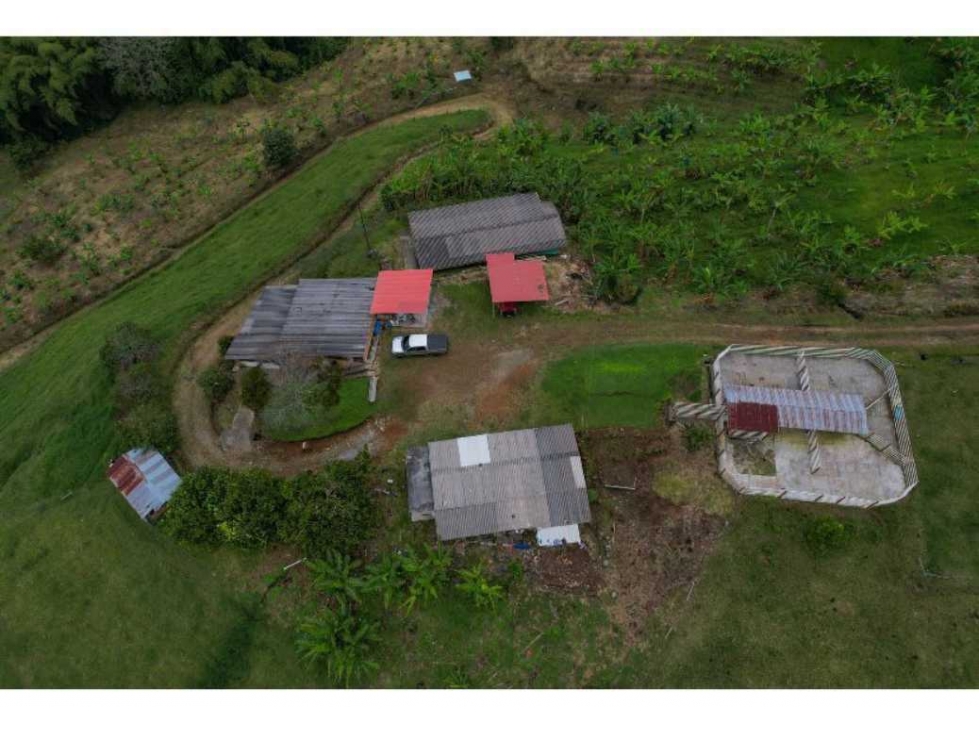 FINCA DE 52 CUADRAS EN GANADO, PLÁTANO, MONTAJE PORCICOLA, AGUA PROPIA