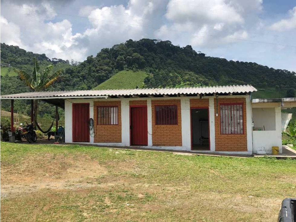 FINCA DE 52 CUADRAS EN GANADO, PLÁTANO, MONTAJE PORCICOLA, AGUA PROPIA — foto 3