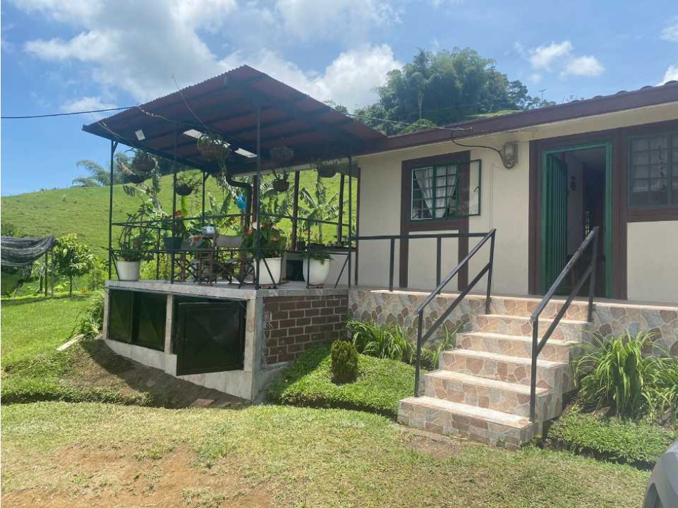FINCA DE 52 CUADRAS EN GANADO, PLÁTANO, MONTAJE PORCICOLA, AGUA PROPIA — foto 6