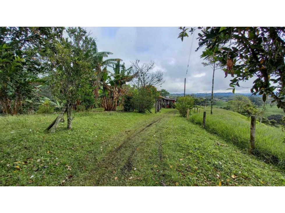 Finca de 7 cuadras en Circasia cerca de Armenia