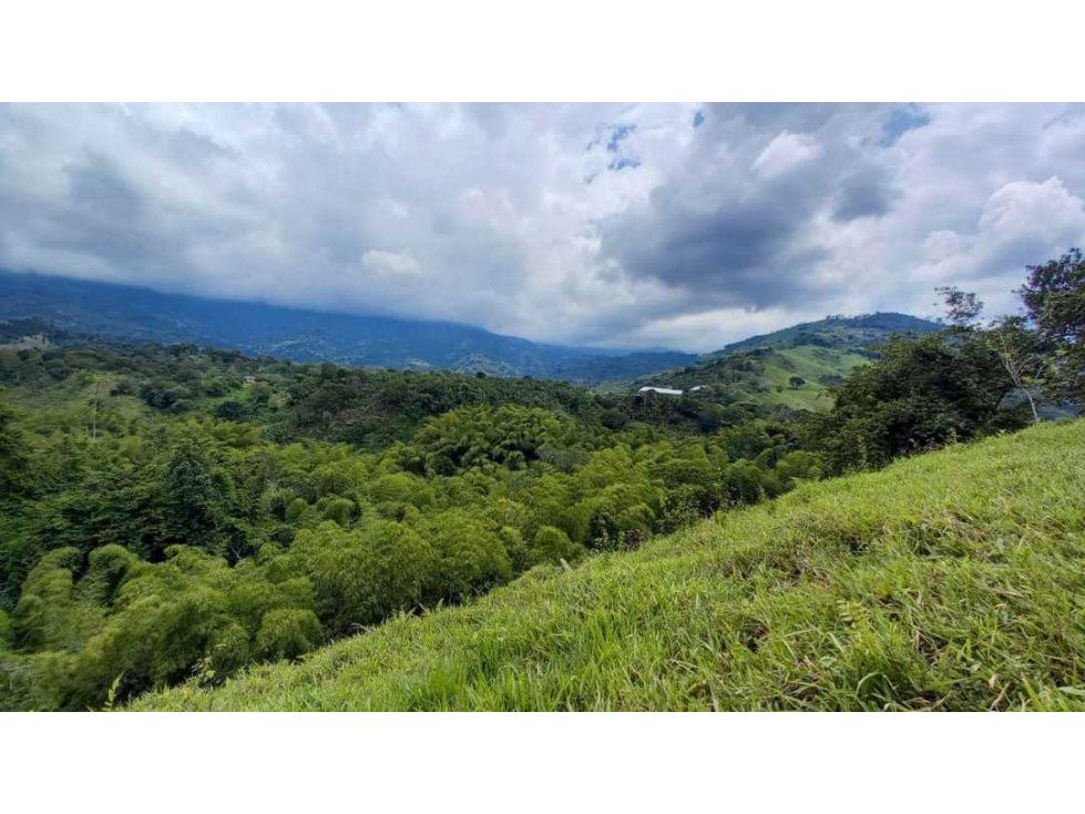 Finca de 7 cuadras en Circasia cerca de Armenia — foto 2