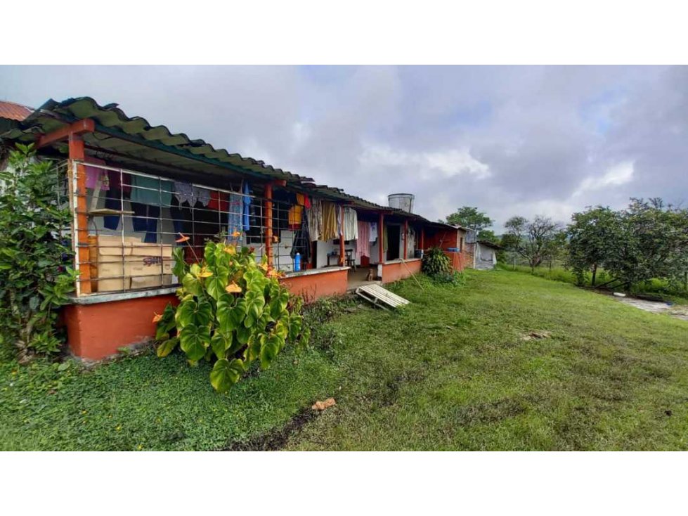 Finca de 7 cuadras en Circasia cerca de Armenia — foto 3