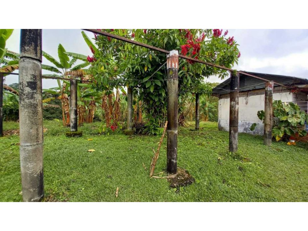 Finca de 7 cuadras en Circasia cerca de Armenia — foto 4