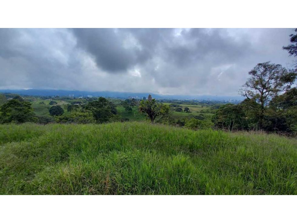 Finca de 7 cuadras en Circasia cerca de Armenia — foto 5