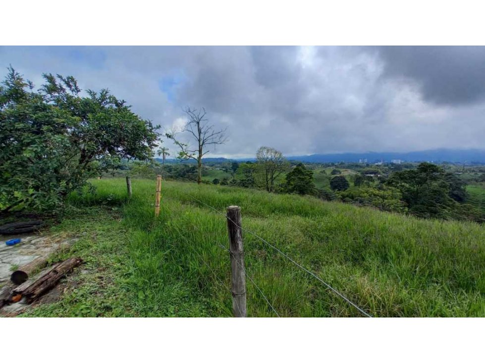 Finca de 7 cuadras en Circasia cerca de Armenia — foto 6
