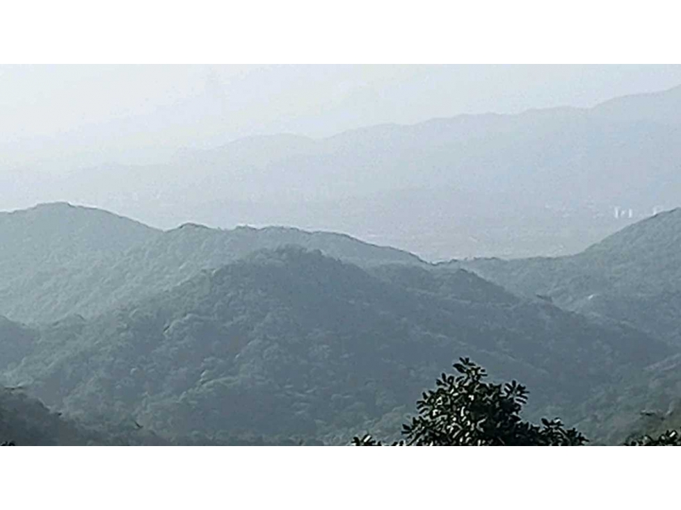 Bosque Virgen Para Reserva Forestal En Minca Santa Marta Colombia — foto 2