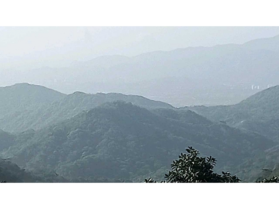 Bosque Virgen Para Reserva Forestal En Minca Santa Marta Colombia — foto 3