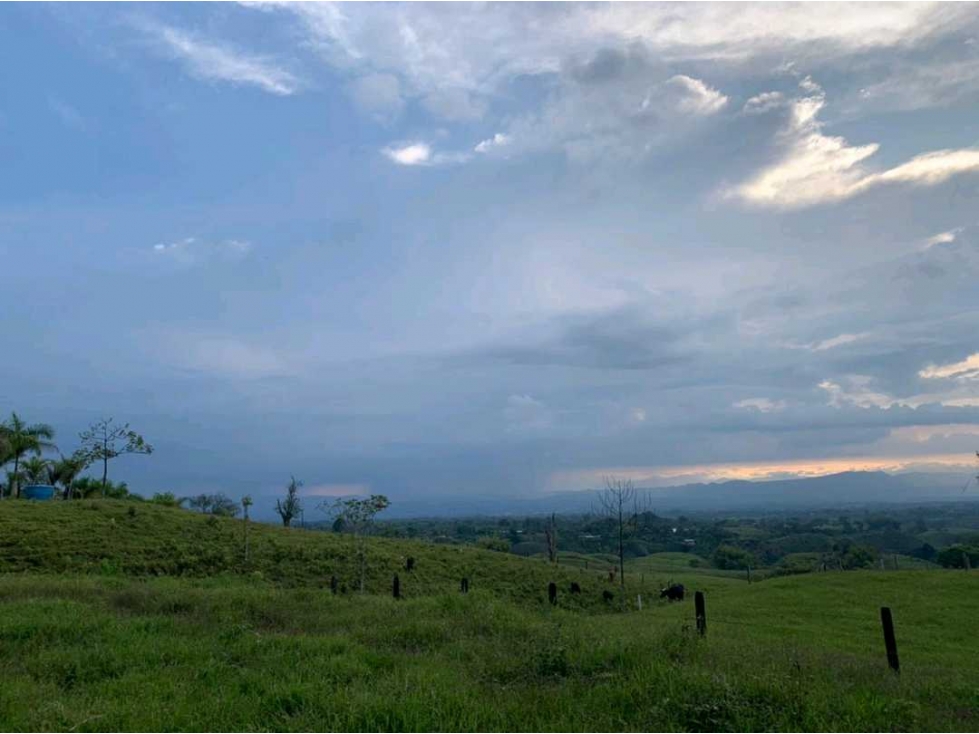 Se Vende Finca de 100 cuadra en Circasia,Quindío.
