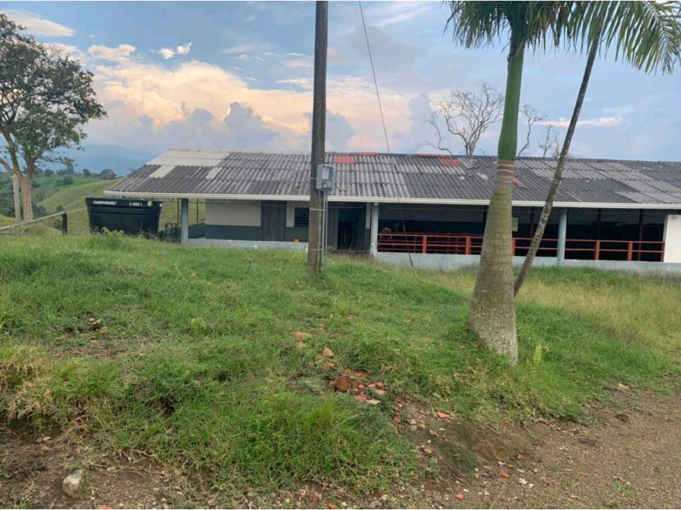Se Vende Finca de 100 cuadra en Circasia,Quindío. — foto 3