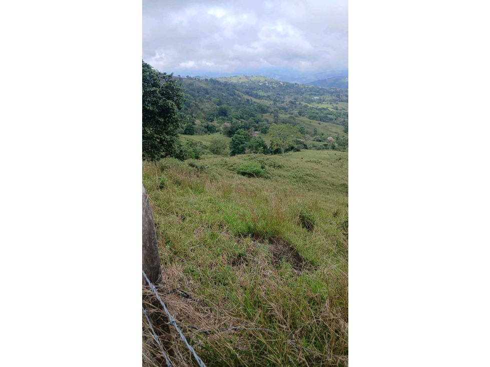 FINCA DE SUEÑO EN GUADUAS 43 HECTÁREAS TOTALMENTE APROVECHABLES - 3
