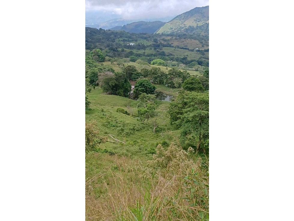FINCA DE SUEÑO EN GUADUAS 43 HECTÁREAS TOTALMENTE APROVECHABLES - 5
