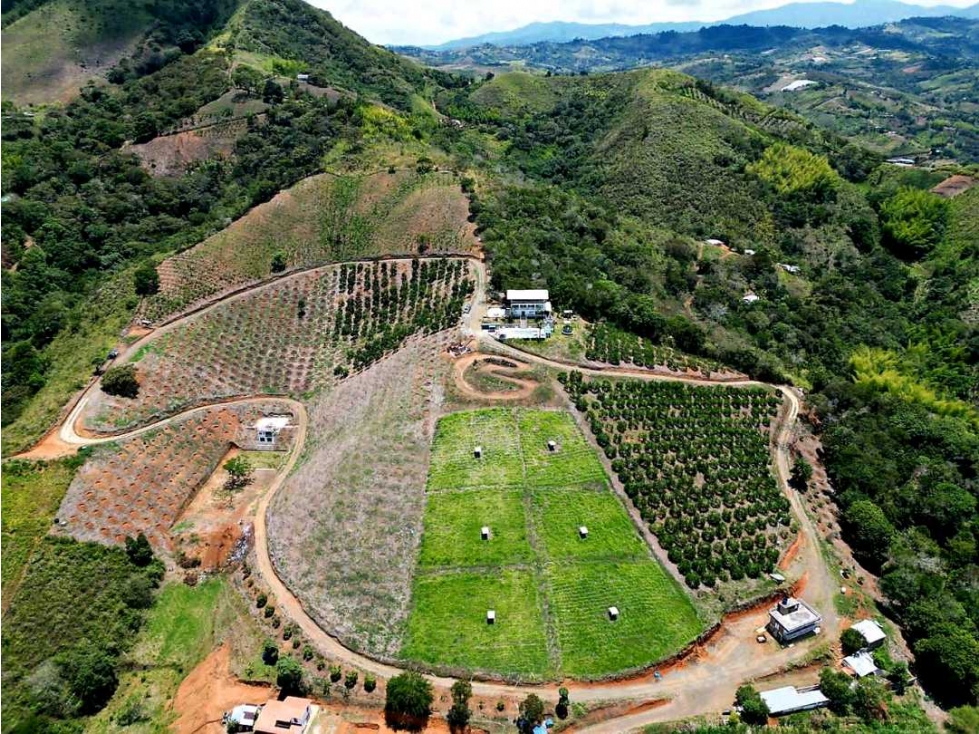 Finca ecoturistica cultivos deportes vía Dagua a la Cumbre — foto 4