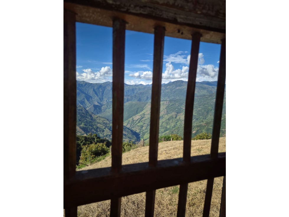 FINCA EN AGUADAS CALDAS DE 7 HECTAREAS - 5