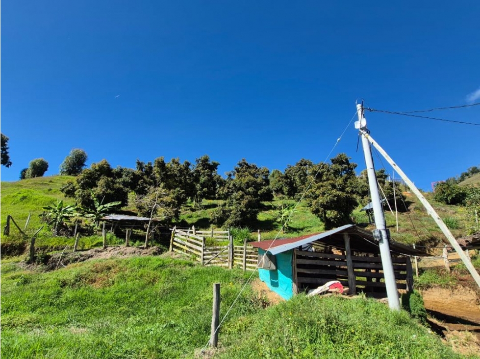 FINCA EN AGUADAS CALDAS DE 7 HECTAREAS - 4
