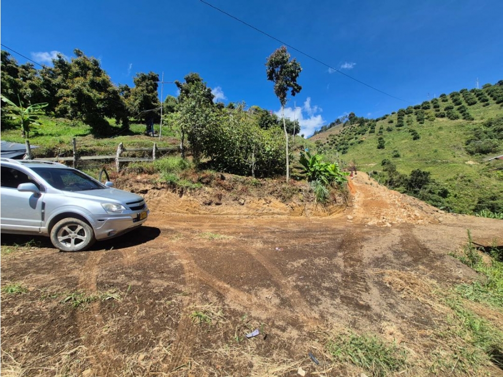 FINCA EN AGUADAS CALDAS DE 7 HECTAREAS - 6