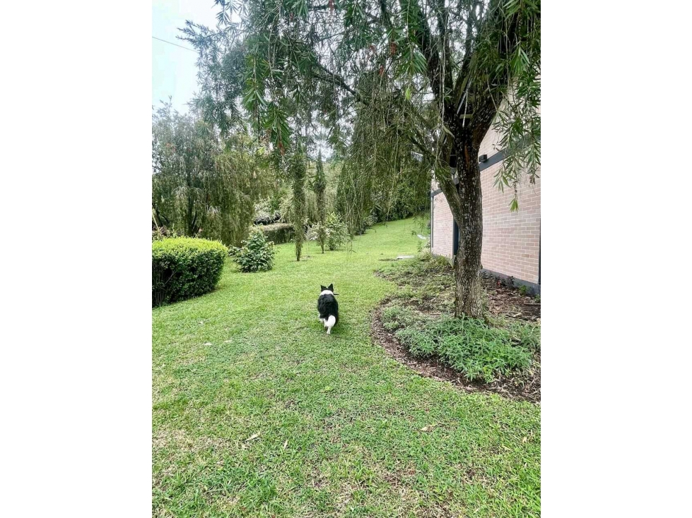 Finca en arriendo en el Tablazo — foto 2