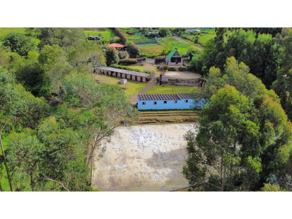 Finca en Arriendo Facatativa con pesebreras Alto del Vino - 6