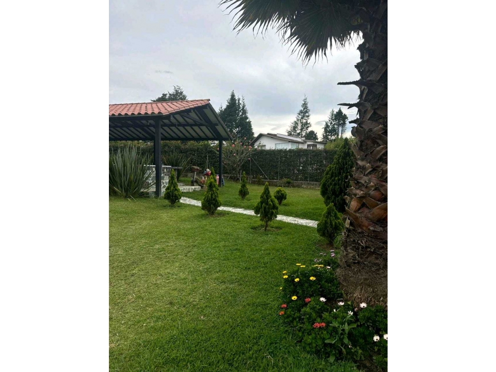 Finca en arriendo vereda la Tolda — foto 2