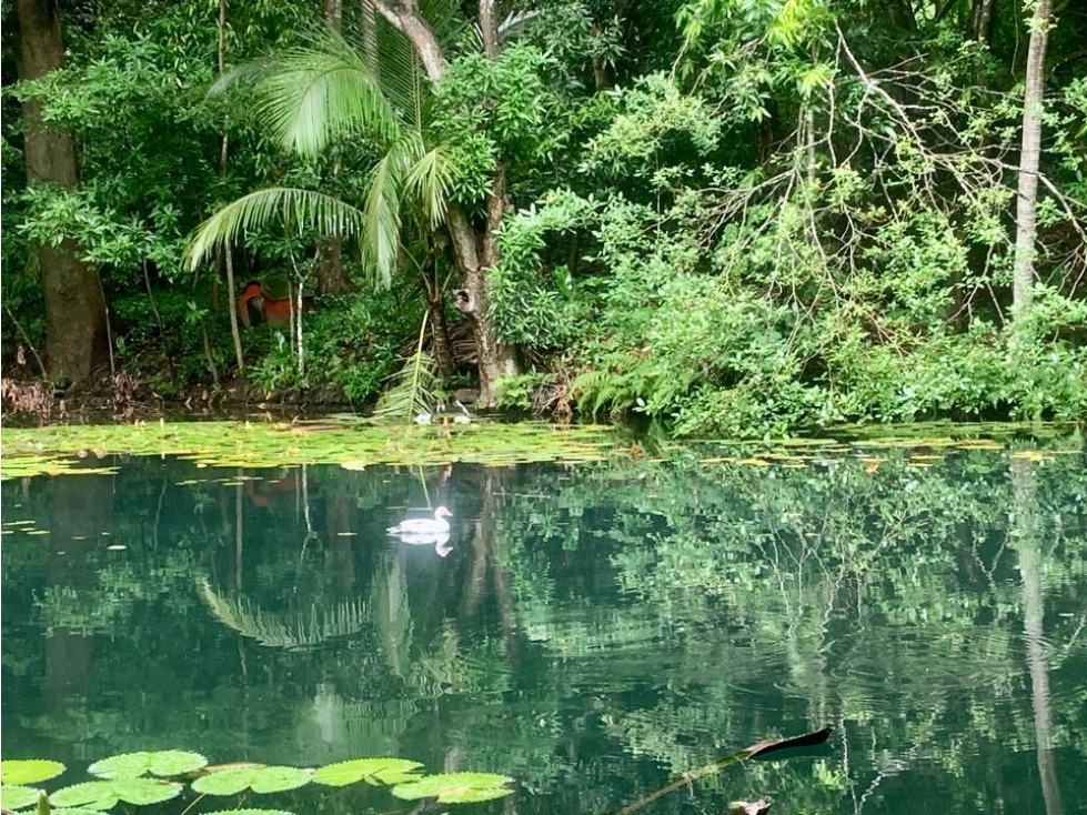 PARAISO EN BONDA-SANTA MARTA