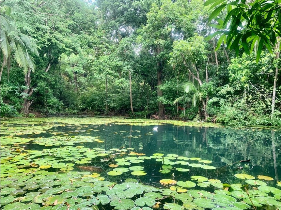 PARAISO EN BONDA-SANTA MARTA — foto 2