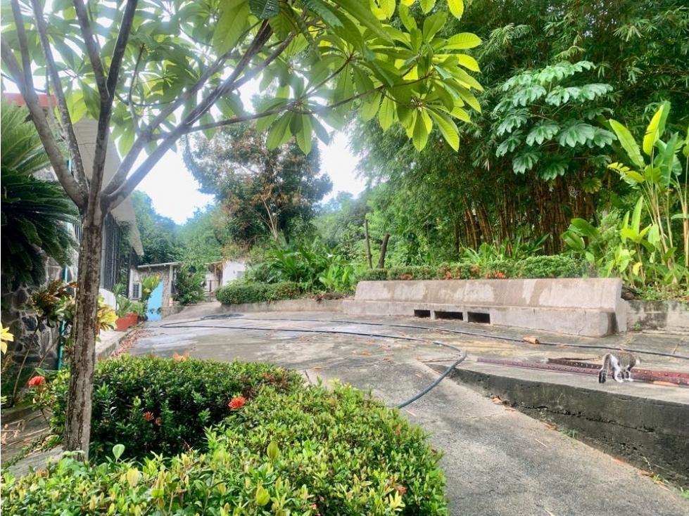 PARAISO EN BONDA-SANTA MARTA — foto 5