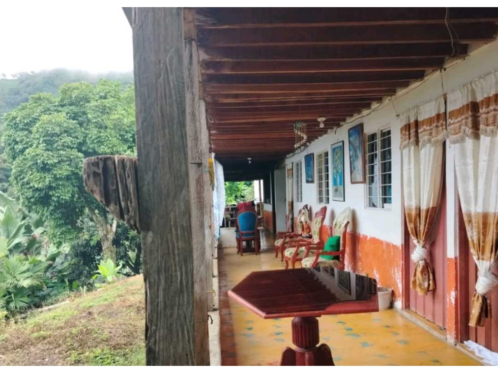 Finca en Buenavista cultivada en cafe platano y banano. - 2