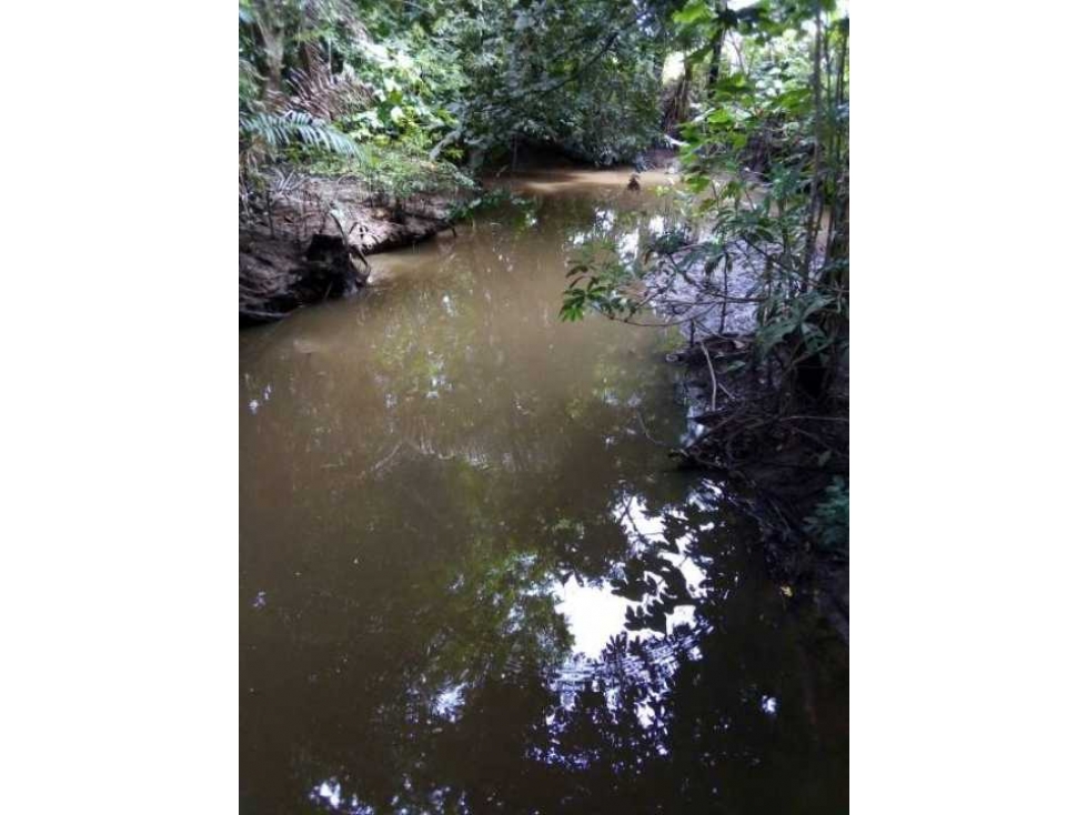 FINCA EN CHEPO CABECERA 78 HECTAREAS POR PUERTO COQUIRA TITULADA - 5