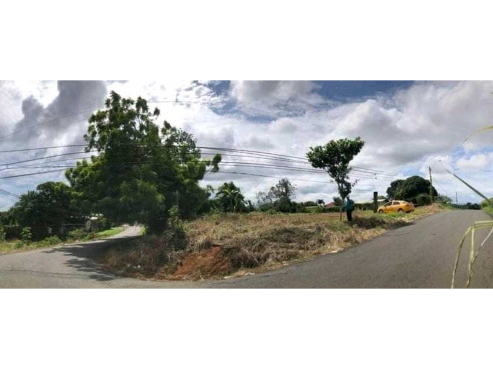 FINCA EN CHORRERA, 1200 METROS EN ESQUINA - 2