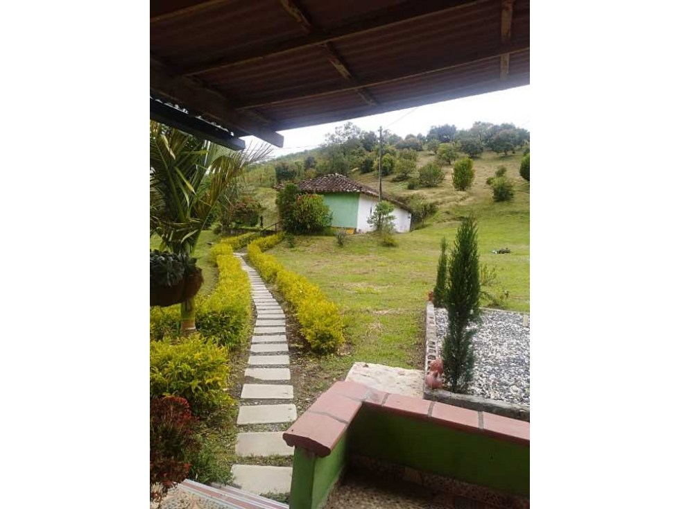 Finca En El Carmen Del Viboral - 3