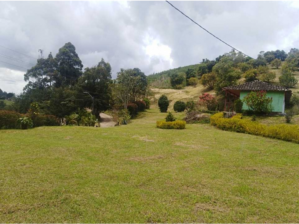 Finca En El Carmen Del Viboral - 4