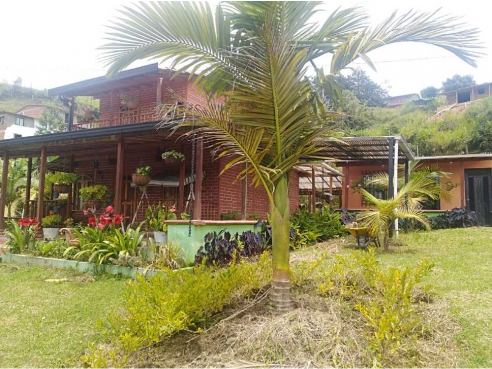 Finca En El Carmen Del Viboral - 5