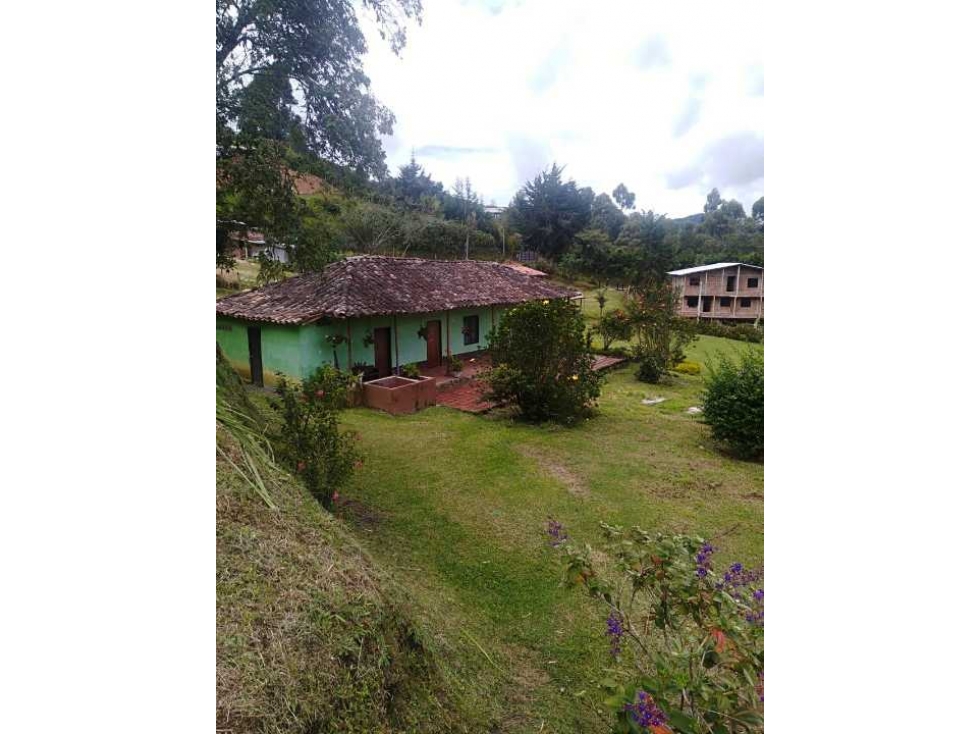 Finca En El Carmen Del Viboral - 6