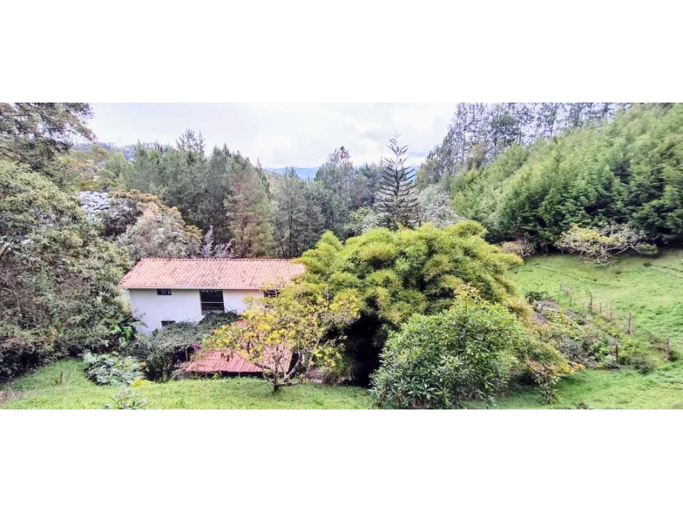 Finca en El Retiro — foto 2