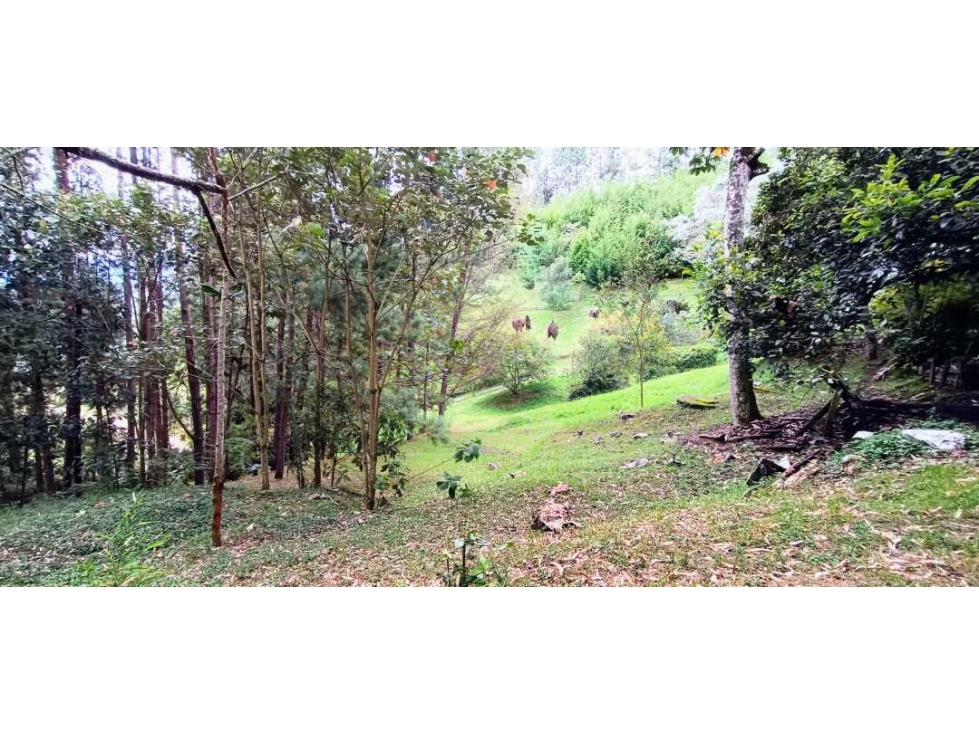 Finca en El Retiro