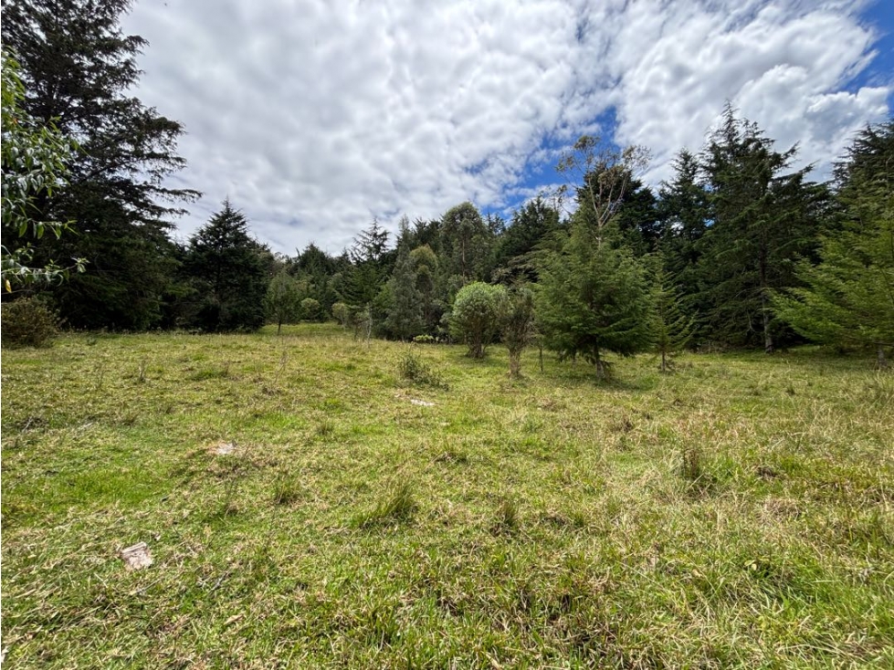 Venta lote en Las Palmas con quebrada y 35.000 m² — foto 3